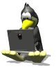 webmestre